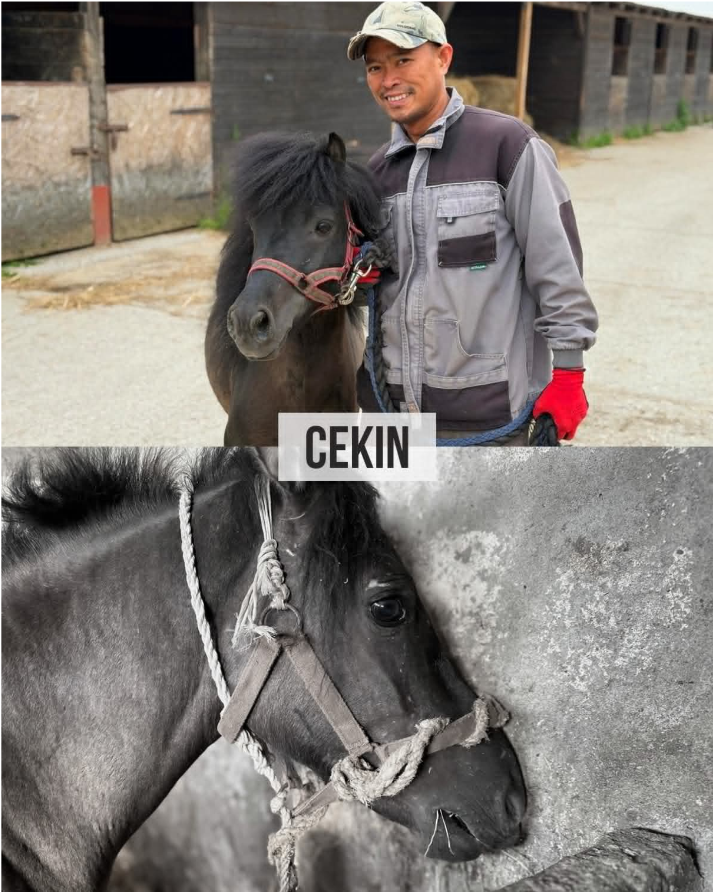 cekin