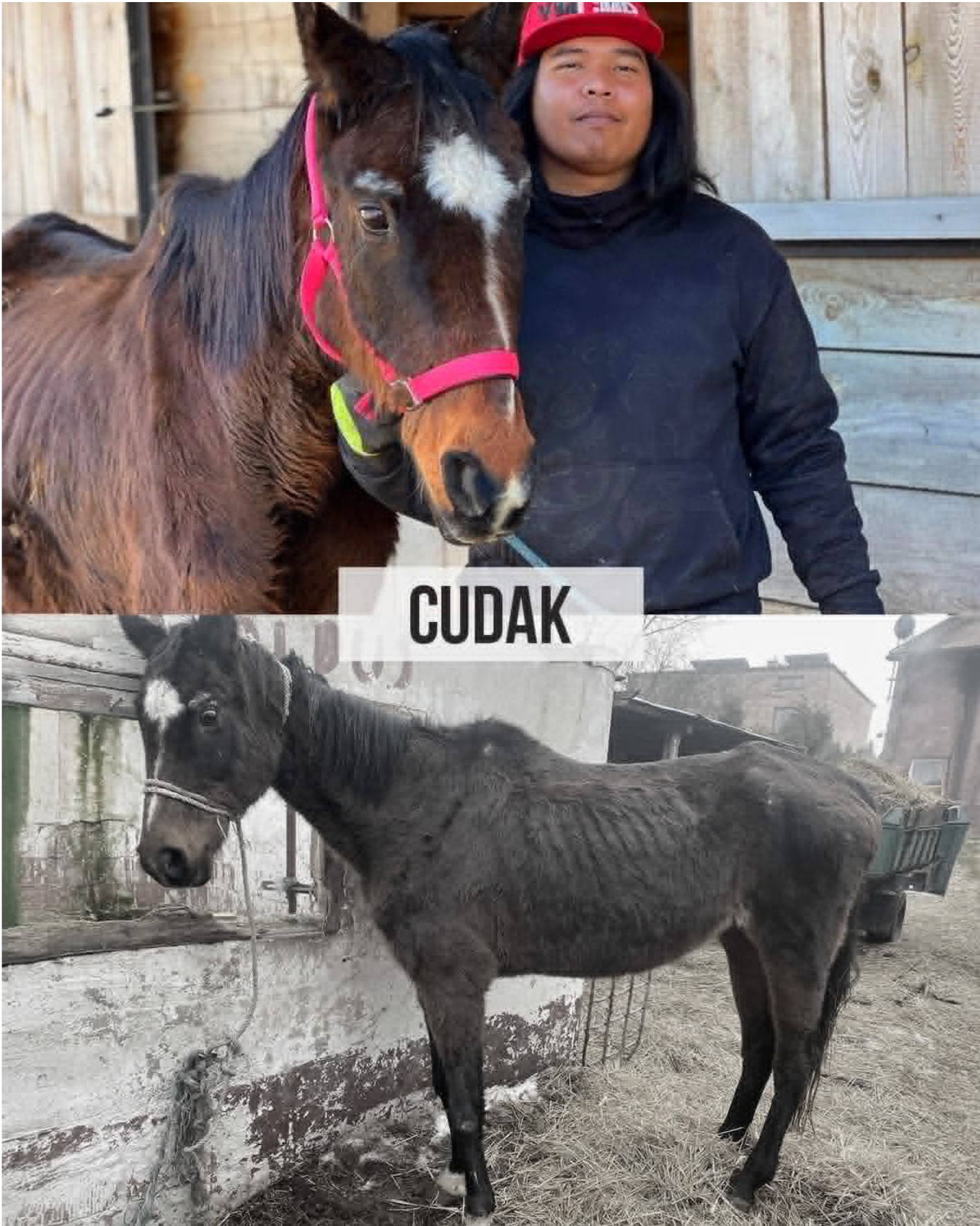 cudak
