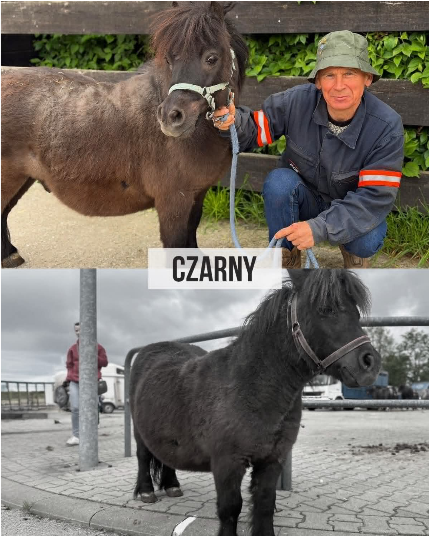 czarny
